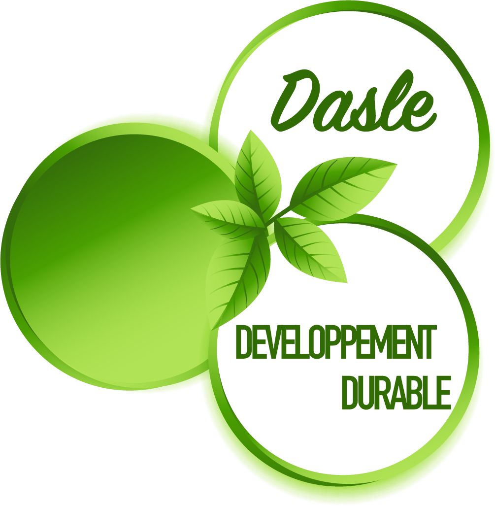 dasle3D